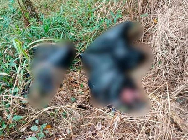 ¡IDENTIFICAN A LOS EMBOLSADOS DE SAYULA DE ALEMÁN! -