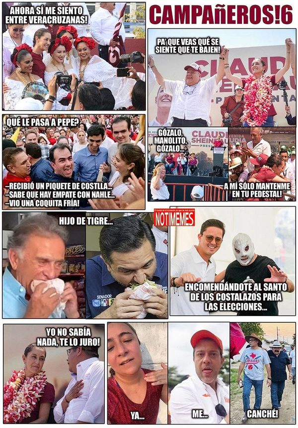 NOTI-MEME | CAMPAÑEROS! 6