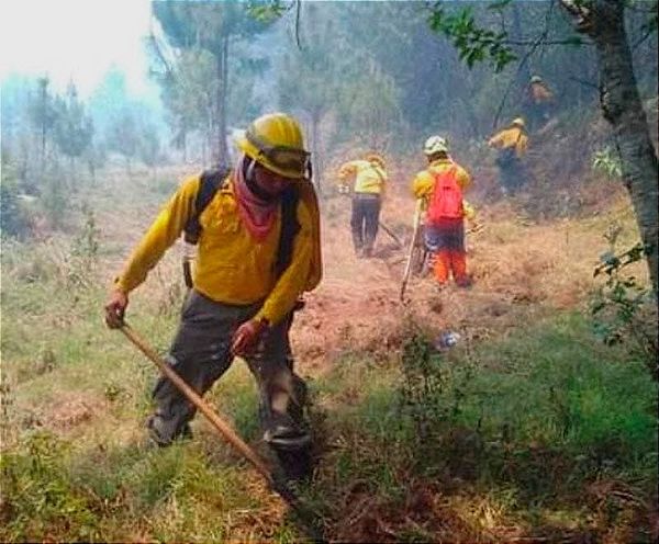 ¡FUERON PROVOCADOS! - Luego de que los Reflectores Fueran Puestos en la Influencer Karely Ruiz, Cui Hizo Post Confirmando esta Teoría