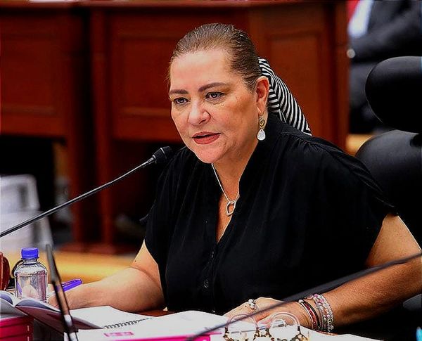 ¡CACHAN LANA RARA! - *El INE les Pone más Fiscalización