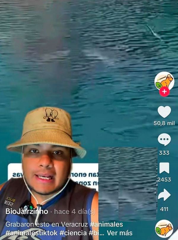 ¡REBATINGA POR LA MANTARRAYA GIGANTE! - *Hubo hasta "explicación biológica", descartan que se trate de una mutación