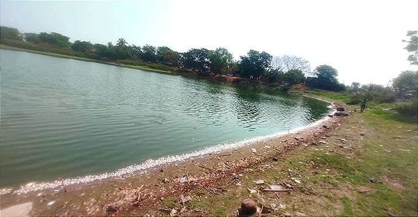 ¡SE DESLINDA GRUPO MAS DE MORTANDAD DE PECES!