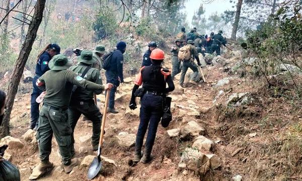 ¡BRIGADISTA DE CONAFOR LESIONADO POR QUEMADURAS DE SEGUNDO GRADO!