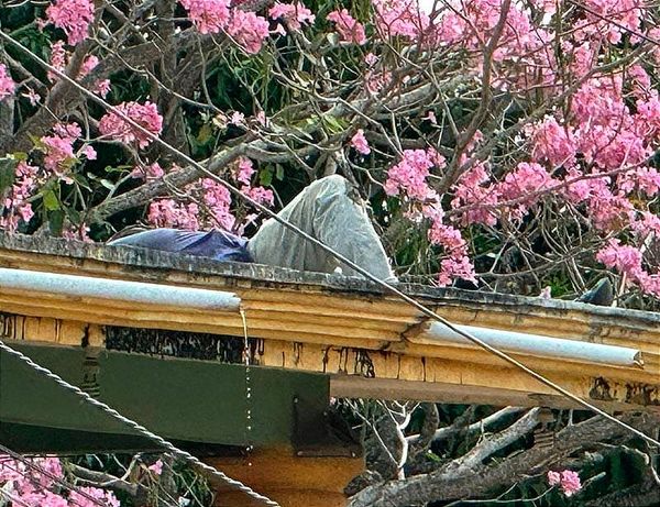 ¡PIERDE LA VIDA POR DESCARGA ELÉCTRICA! - DURANTE REPARACIONES EN LA AZOTEA