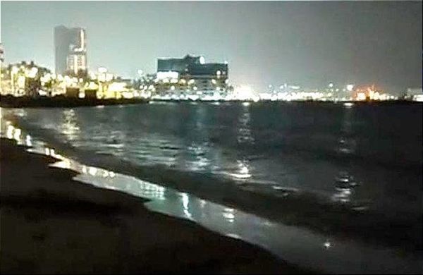 ¡ALERTAN SOBRE TIBURONES EN PLAYA REGATAS, ERAN DELFINES!