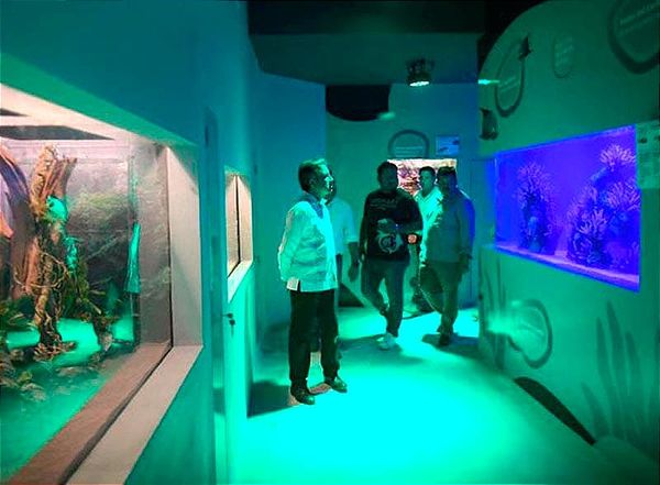 ¡BAJA DE TORTUGAS DE RÍO! - *Murió una manta y un tiburón, estaban desde el 98