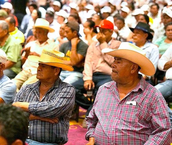 ¡EXPLOTAN CAÑEROS! - “Ahora nomás nos está dando el puro dedo”.