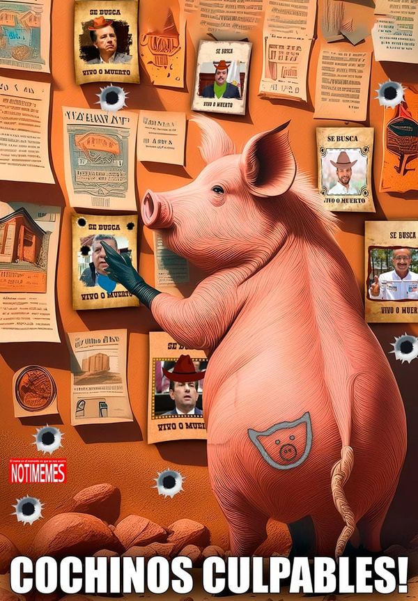 NOTI-MEME | - COCHINOS CULPABLES!