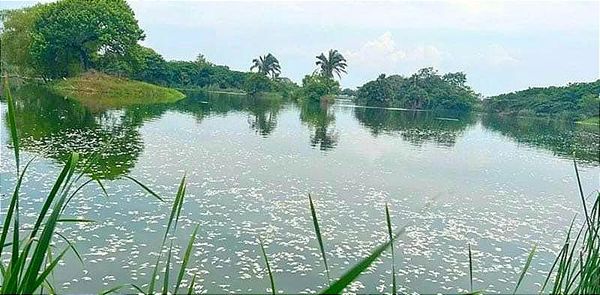 ¡ECOCIDIO EN CHARQUÍN-LANDIA!