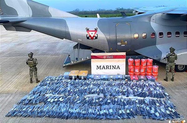 ¡SE LAS LLEVAN VOLANDO! - AY NANITAS *279 ARMAS, 14 MIL 979 CARTUCHOS ÚTILES *CONTEO FINAL