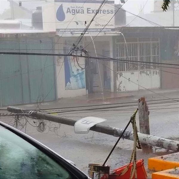 ¡PA’TORMENTÓN! - *Árboles derribados hasta  puestos afectados por los vientos