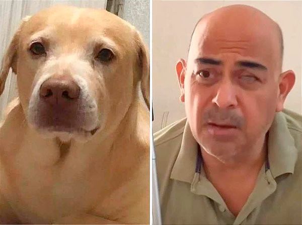 ¡DESAPARECIÓ “DUCKY” PERRO GUÍA! - *Se Extravió en Laguna Real