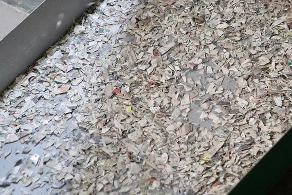 ¡DESTRUYE INE 105 MIL CREDENCIALES!