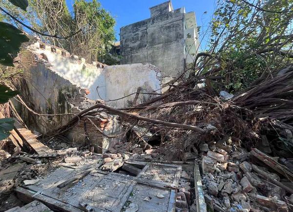 ¡NORTAZO TIRÓ ENORME ÁRBOL EN EL CENTRO HISTÓRICO!
