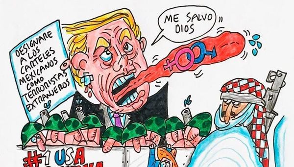 LOS CARTONES