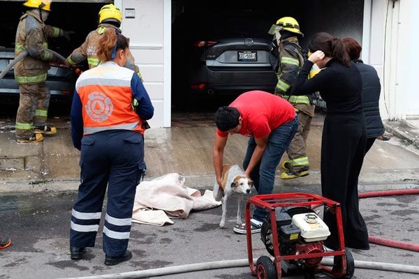 ¡ARDE AUTO DE LUJO EN LA COCHERA Y RESCATAN A LA PERRITA ‘CANELA’!