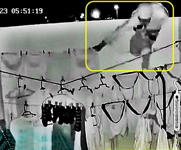 ¡GRABAN A ‘RATA’ ROBANDO LOS “CHONES” A VECINAS!