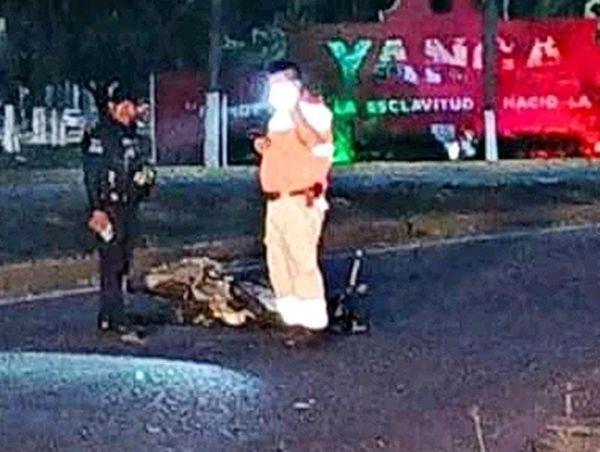 ¡MUERE ARROLLADO POR CAFRE!