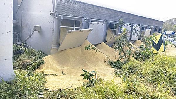 ¡TRAILER SE VOLTEA CON TONELADAS DE ALIMENTO!