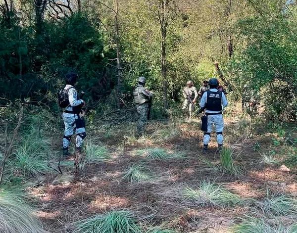 ¡PRIVAN DE LA LIBERTAD A PRODUCTOR DE CAFÉ EN ZENTLA!