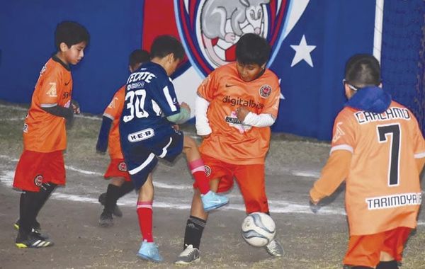 ¡TARIMOYA Y TLACUACHES FRENTE A FRENTE!