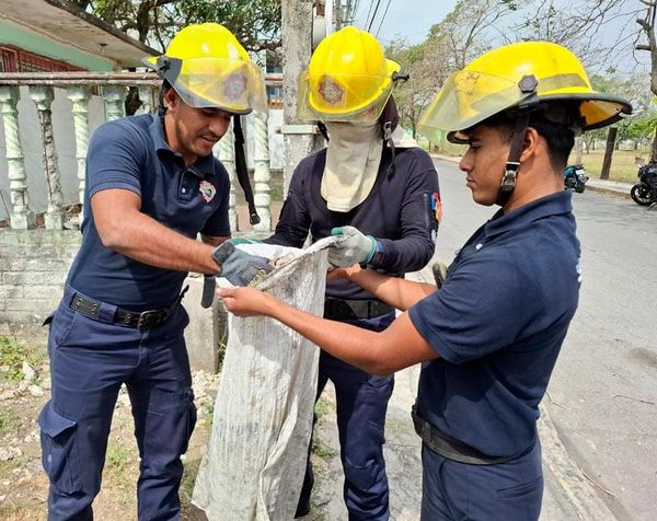 ¡REPTIL HACE CORRER A LOS VECINOS DE LAS BAJADAS!