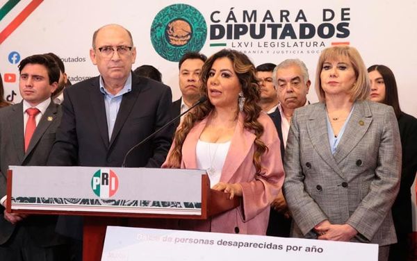 ¡PIDEN SEGURIDAD! - *No bastan los buenos deseos del OPLE; SOS a Omar Harfuch