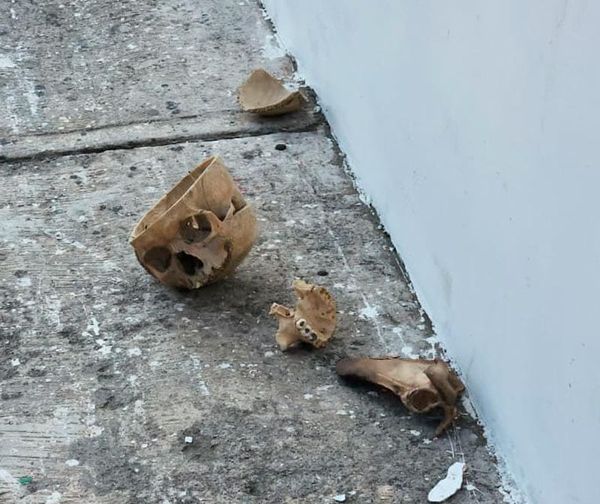 ¡LOCALIZAN CRÁNEO HUMANO EN BOCA DEL RÍO!