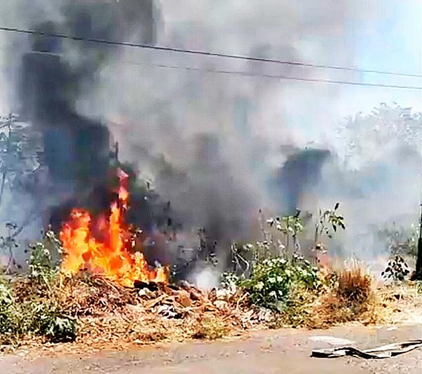 ¡PASTIZAL EN LLAMAS EN CIUDAD JUDICIAL!