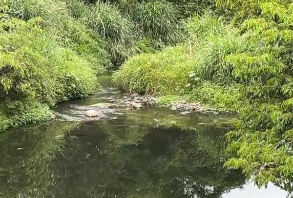 ¡ENCUENTRAN CADÁVER FLOTANDO DE ‘MUERTITO’!