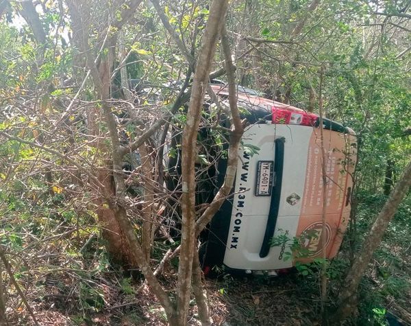 ¡IBA VOLANDO EN LA AUTOPISTA Y ATERRIZA EN LA MALEZA!