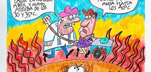 LOS CARTONES