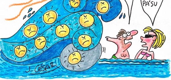 LOS CARTONES