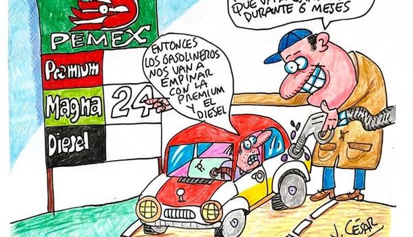 LOS CARTONES