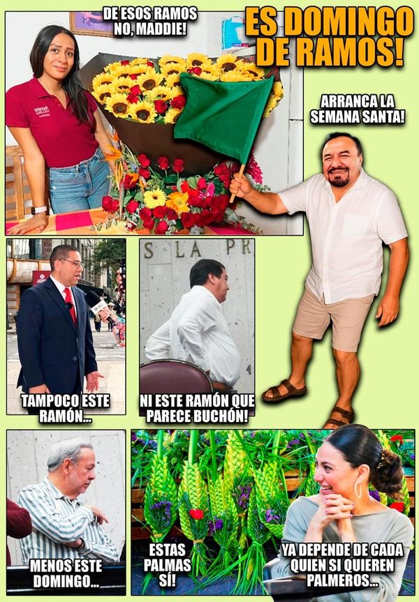 NOTI-MEME | - ES DOMINGO!