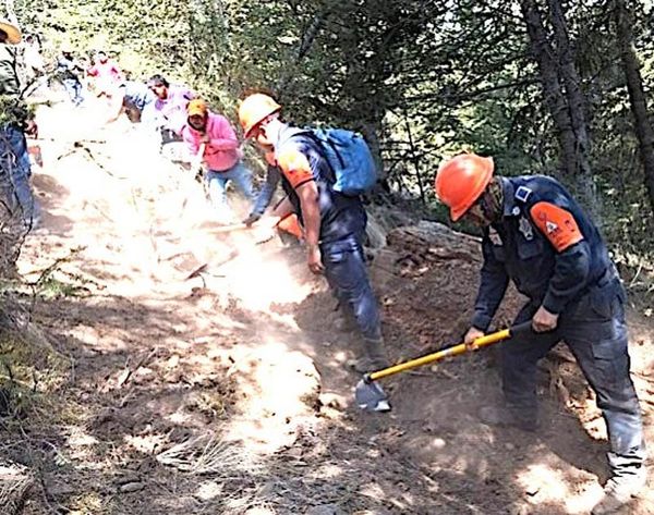 ¡ARDEN MÁS DE 200 HECTÁREAS EN PEROTE!