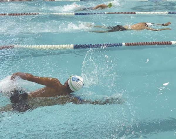 ¡INVITAN A ESCUELA DE NATACIÓN TIBURONES BLANCOS!