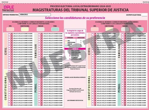 ¡BOLETAS-GATE! - LO QUE FALTABA