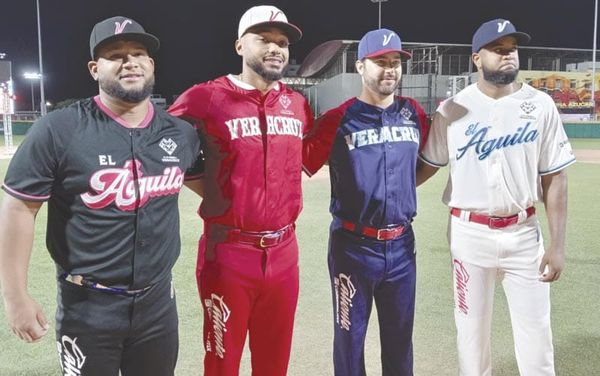 ¡NUEVO PLUMAJE! - ROJO, NEGRO, AZUL Y BEIGE