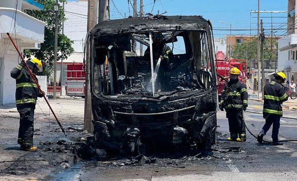 ¡PANICO EN EL AUTOBUS!