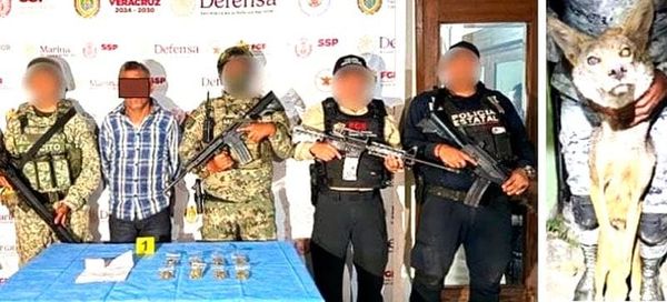 ¡CAE NARKIKIRI Y TENÍA HASTA UN COYOTE DE MASCOTA!