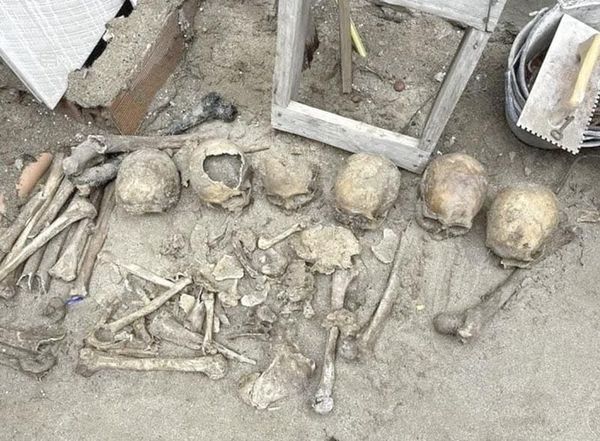¡HALLAN 12 CRÁNEOS Y RESTOS OSEOS DE ANIMALES; SOSPECHAN DE RITUAL ESPIRITISTA UMBANDA!