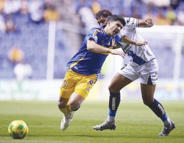 ¡SE APAGAN LOS TIGRES CON TRISTE EMPATE EN PUEBLA!