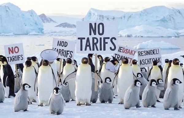 ¡LE PONEN ARANCELES A ISLA HABITADA... ¡POR PINGÜINOS!
