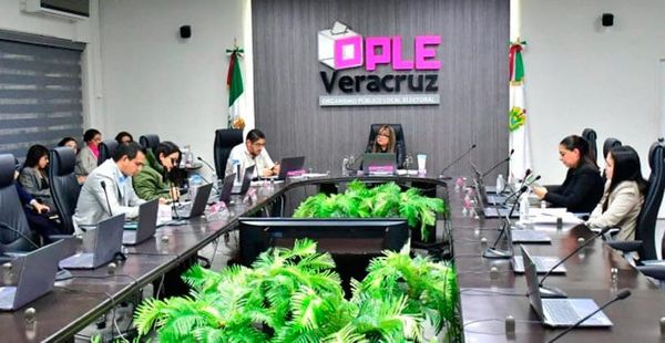 ¡EL OPLE PALOMEARÁ A LOS CANDIDATOS A ALCALDES Y SÍNDICOS!