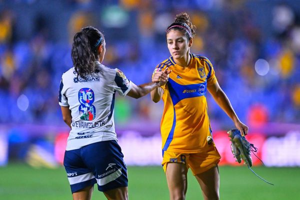 ¡DEJAN TIGRES FEMENIL Y RAYADAS TODO PARA LA VUELTA!