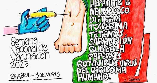 LOS CARTONES