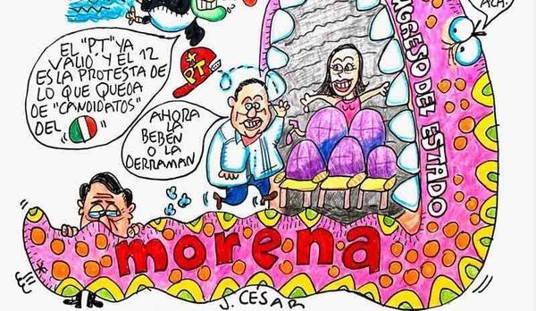LOS CARTONES