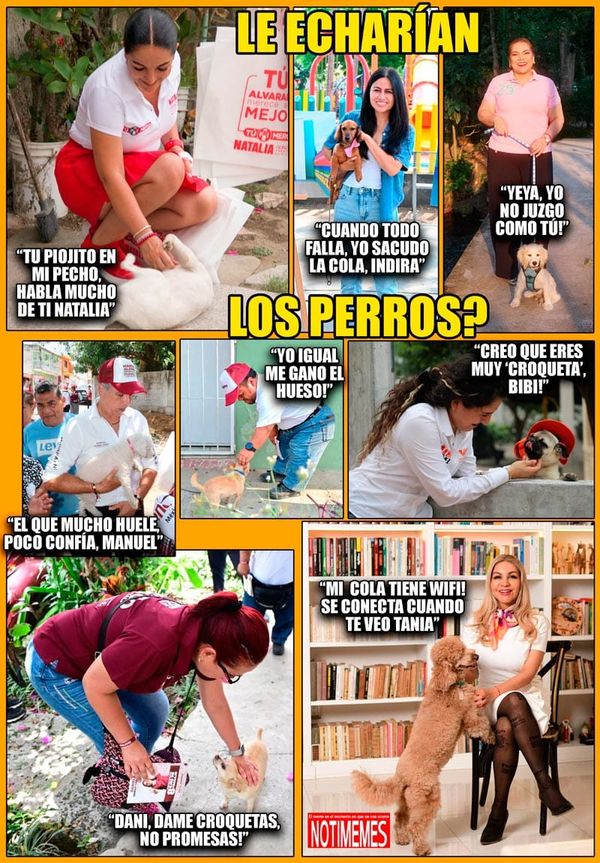 NOTI-MEME | - LE ECHARÍAN LOS PERROS?
