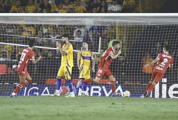 “EL DIABLO¨ SALE VIVO - DEL VOLCAN